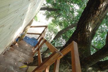تختخواب و صبحانه Casa Na árvore