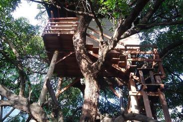 تختخواب و صبحانه Casa Na árvore