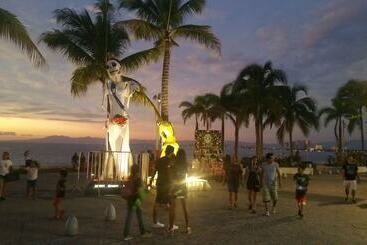 Hostel Enjoy Vallarta 19