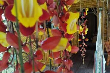 ユースホステル Hostal El Eden De Mindo