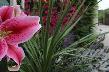 ベッドアンドブレックファースト Hope Orchard