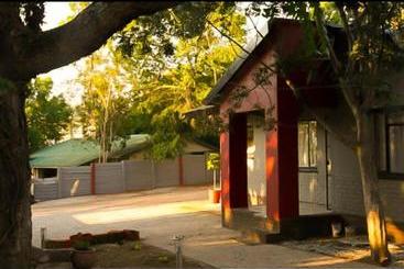 Pension Dreamwood Guest House