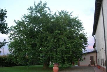 هتل Agriturismo Campass