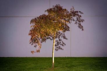 ホテル A Curuxa Wellness