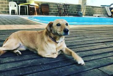 Общежитие Recanto Dos Bambus Em Palmeirinha