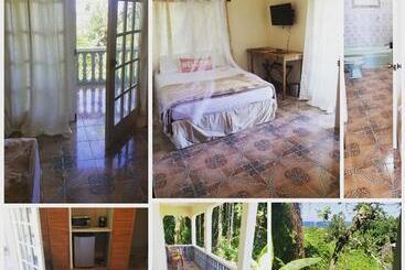 هاستل Viva Violas