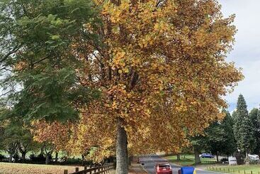 Arohanui Rural Retreat B&b