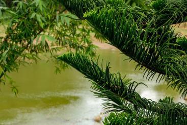 تختخواب و صبحانه Riverview Lodge
