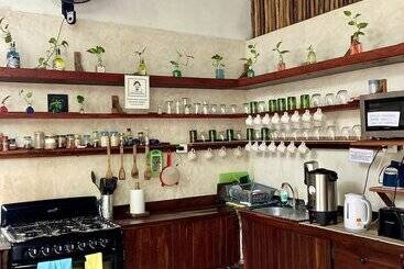 ペンション Hostal Holbox Hostel & Private Apartments