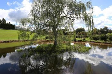 تختخواب و صبحانه Maungakawa Villa