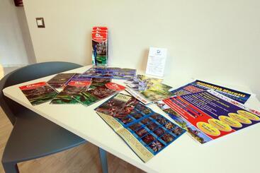 B&b Verdemare Camerota