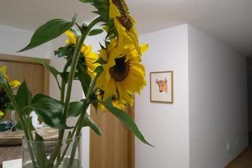 ペンション Duerming Villa De Arzúa