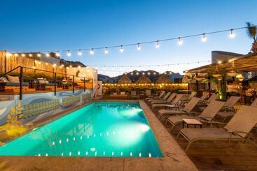 הוסטל Mayan Monkey Los Cabos   Adults Only