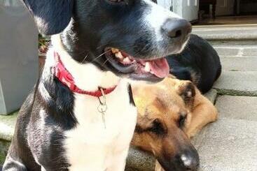 ペンション Disblair House