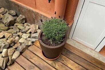 بنسيون Hostal Casa San Nicolas