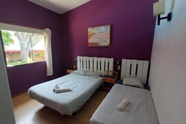 פנסיון Lagarto Hostel Tenerife