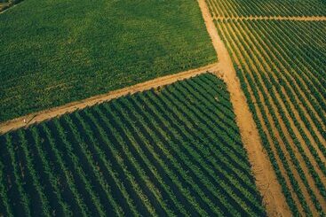 بنسيون Pátio Da Figueira