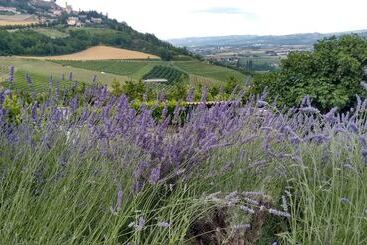 膳宿费 Agriturismo Solestelle
