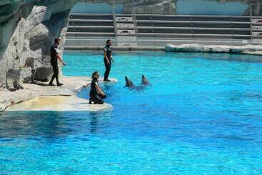 Апарт-отель Residence Altamarea