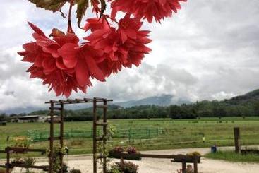 בית מלון כפרי Agriturismo San Floreano