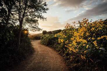 호텔 La Cerreta Terme Di Sassetta