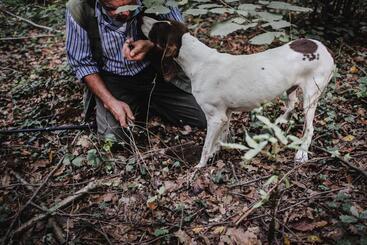 فندق Reva Resort