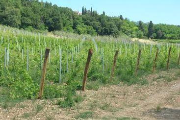هتل Podere Ghiole