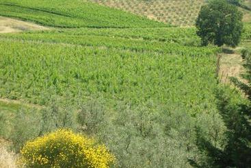 هتل Podere Ghiole