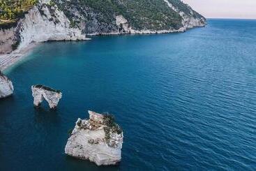 هتل Agriturismo Antichi Ulivi