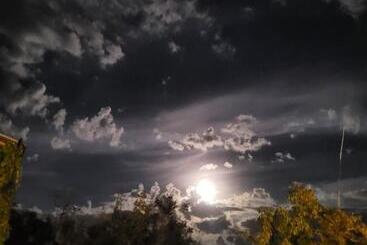 בית מלון כפרי Agriturismo L'antico Oliveto