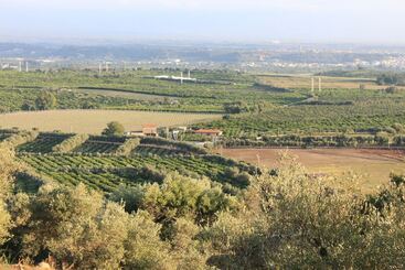 酒店 Agriturismo Le Terre Di Zoe