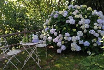 בית מלון כפרי Agriturismo Renaccio