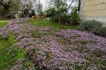 בית מלון כפרי Agriturismo Via Del Campo