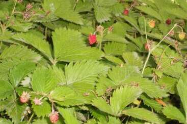 펜션 L Infinito Agriturismo   Rooms & Breakfast