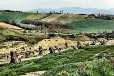 فندق Agriturismo Podere Luchiano