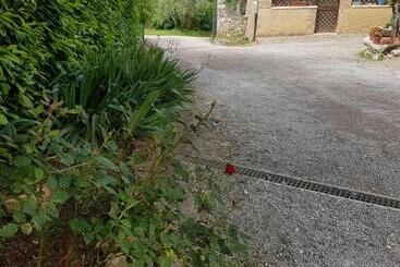 בית מלון כפרי Agriturismo Il Solaio