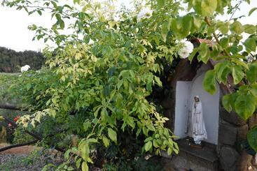 酒店 Agriturismo La Casuccia