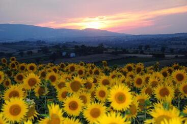 Отель Il Casale