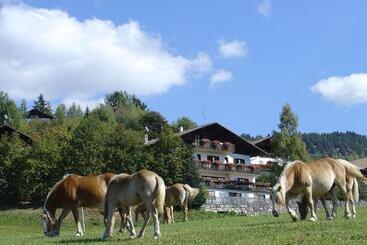פנסיון Haus Hafner