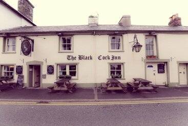 הוסטל The Black Cock Inn