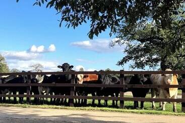 בית מלון כפרי Moo Cow Cottage Self Catering