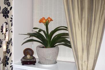 펜션 Alba Guest House