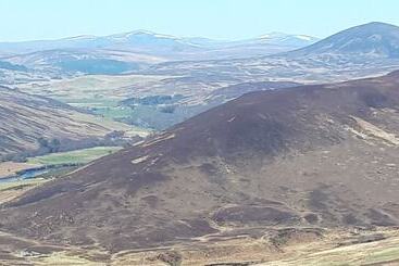 Общежитие Bannockburn Inn