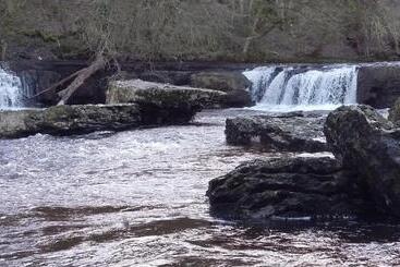 פנסיון Willance House Guest House