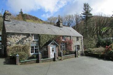 Отель Bryn Sion Farm