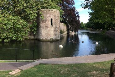 Пансион Great Ashley Farm Bed And Breakfast & Shepherds Huts