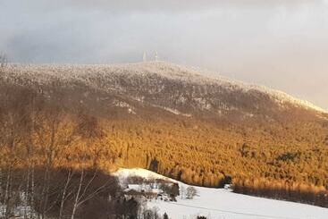 Pension / Ferienwohnungen Ludwig