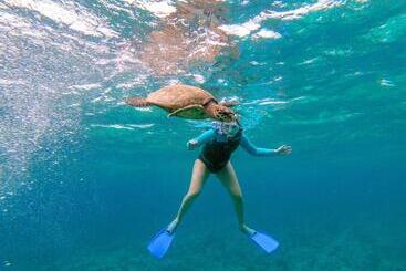 بنسيون Bito S Gh