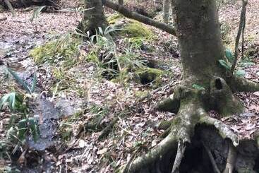 Tallahassee Sun & Moon   Hostel