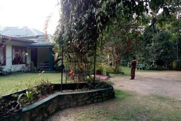 پانسیون Lizzie Villa Guest House